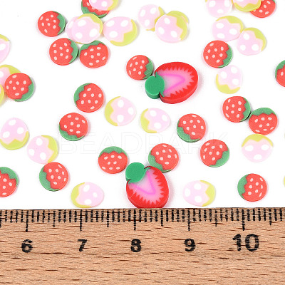 Handmade Polymer Clay Cabochons CLAY-N013-04-1