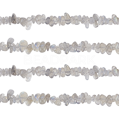 Natural Labradorite Bead Strands G-GL0001-03-1
