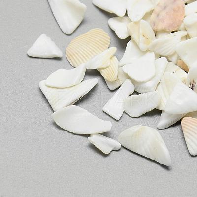 Natural Sea Shell Beads SSHEL-R036-016-1