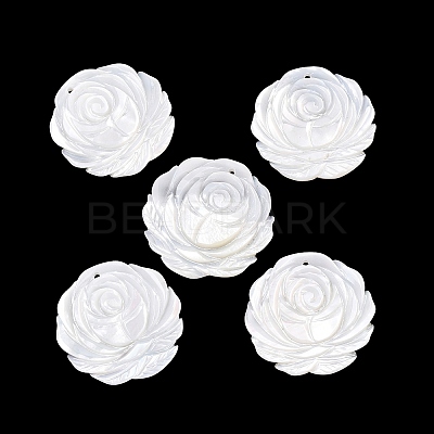 Natural White Shell Carved Pendants SSHEL-B006-02-1