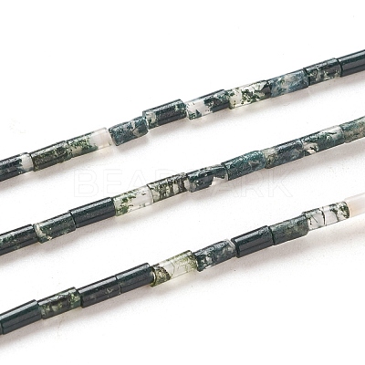 Natural Moss Agate Beads Strands G-G783-19-1