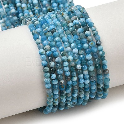 Natural Apatite Beads Strands G-D347-A01-1