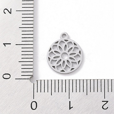 Non-Tarnish 304 Stainless Steel Charms STAS-K286-01E-P-1