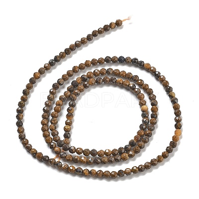 Natural Tiger Iron Beads Strands G-B120-A01-01-1