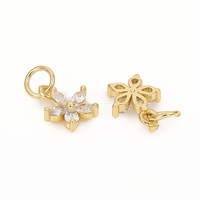 Brass Micro Pave Cubic Zirconia Charms ZIRC-L096-10G-1