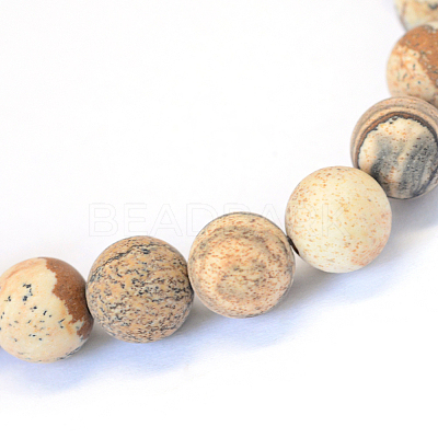 Frosted Natural Picture Jasper Round Bead Strands X-G-E334-6mm-26-1