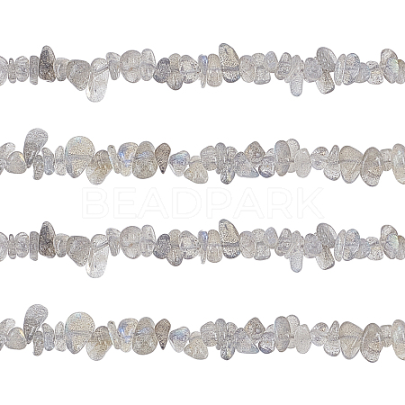 Natural Labradorite Bead Strands G-GL0001-03-1