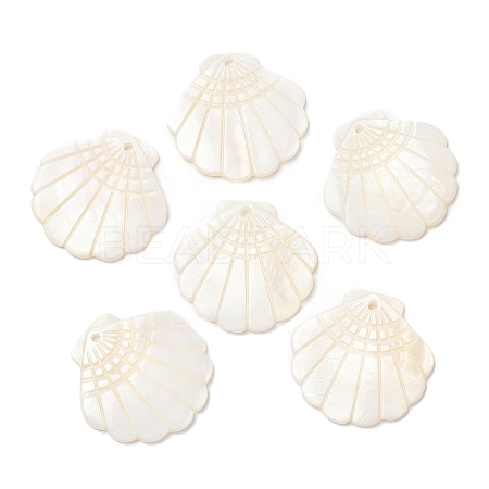 Natural Freshwater Shell Pendants SHEL-F007-20-1