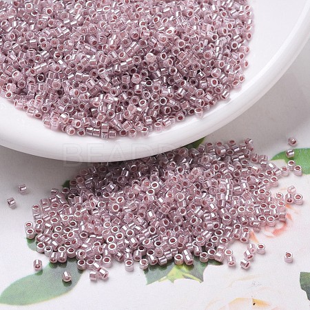 MIYUKI Delica Beads SEED-J020-DB0256-1