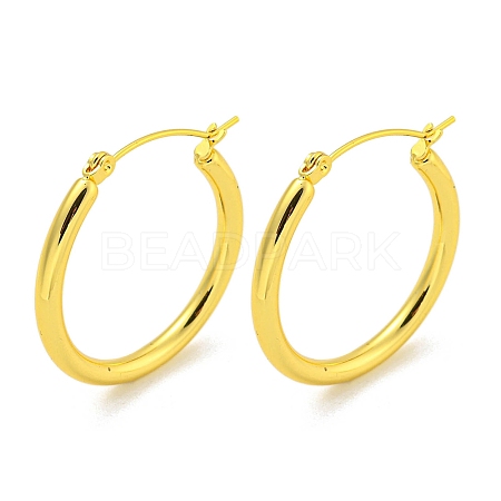 304 Stainless Steel Earrings EJEW-R161-01B-G-1