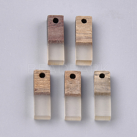Resin & Wood Pendants X-RESI-S358-19C-1