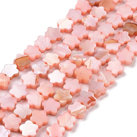 Natural Freshwater Shell Beads Strands SHEL-H002-03D-1