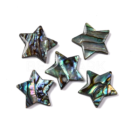 Natural Paua Shell Epoxy Resin Cabochons SSHEL-S279-01F-1