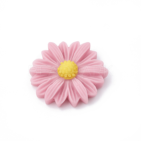 Resin Cabochons CRES-N007-10D-1