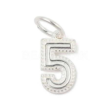 Number Series 925 Sterling Silver Charms LS-STER-Q002-01F-1