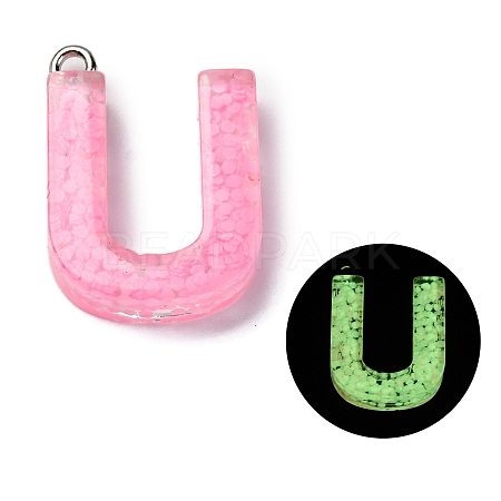 Luminous Resin Pendants RESI-I059-U01-1