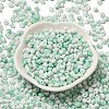 Baking Paint Glass Seed Beads SEED-F006-01A-08-2