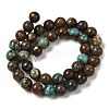 Natural Turquoise Beads Strands G-P506-04D-03-2