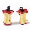 Resin Pendants X-RESI-N023-01-3