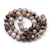 Natural Zebra Jasper Beads Strands G-S259-30-8mm-2