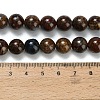 Natural Pietersite Beads Strands G-L642-B16-10mm-5