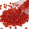 TOHO 6/0 Round Beads X-SEED-TR06-0025-1