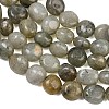 Natural Labradorite Beads Strands GG-CBA787B-A36-3
