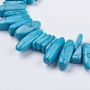 Dyed Natural Howlite Nuggets Beads Strands G-R191-12-3