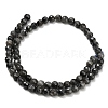 Natural Larvikite Beads Strands G-C280-B06-6mm-3