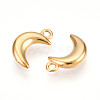 304 Stainless Steel Charms STAS-N109-138G-2