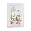Pressed Dried Flowers DIY-B070-01C-1