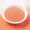 MIYUKI Round Rocailles Beads SEED-X0056-RR0236-2
