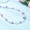 Natural Amethyst & Rose Quartz Chip & Glass Seed Baeded Necklaces for Women NJEW-JN05603-03-2