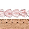 Transparent Handmade Lampwork Beads LA-CBAF0C8-01B-3
