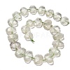 Natural Green Quartz Beads Strands G-H078-B21-01-3