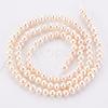 Natural Cultured Freshwater Pearl Beads Strands PEAR-R063-07A-2