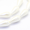 Shell Pearl Beads Strands BSHE-P024-06-3