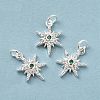 Rack Plating Brass Micro Pave Cubic Zirconia Pendants LS-KK-E081-10S-2