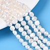 Natural Cultured Freshwater Pearl Beads Strands PEAR-T006-18C-1