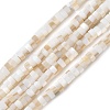 Natural Freshwater Shell Beads Strands X-SSHEL-C013-04A-1