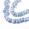 Natural Freshwater Shell Beads Strands SHEL-N003-23-B02-3