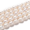 Natural Cultured Freshwater Pearl Beads Strands PEAR-L033-81-01-1