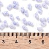 Baking Paint Glass Seed Beads SEED-A033-04H-4
