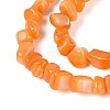 Natural Freshwater Shell Beads Strands SHEL-N037-04F-3