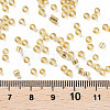 8/0 Glass Seed Beads X2-SEED-A005-3mm-22-3
