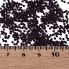 15/0 Transparent Czech Glass Seed Beads SEED-N004-004-13-6