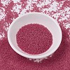 MIYUKI Delica Beads SEED-X0054-DB0778-2