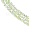 Natural Prehnite Beads Strands G-C255-B03-2mm-4
