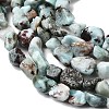 Natural Larimar Beads Strands G-P601-A21-02-4