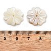 Natural Freshwater Shell Beads SHEL-Z002-02-3